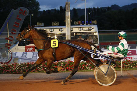 Actualités Hippiques